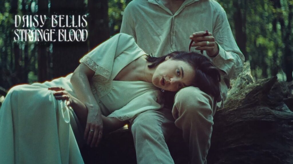 Daisy Bellis – Strange blood Daisy Bellis – Strange blood